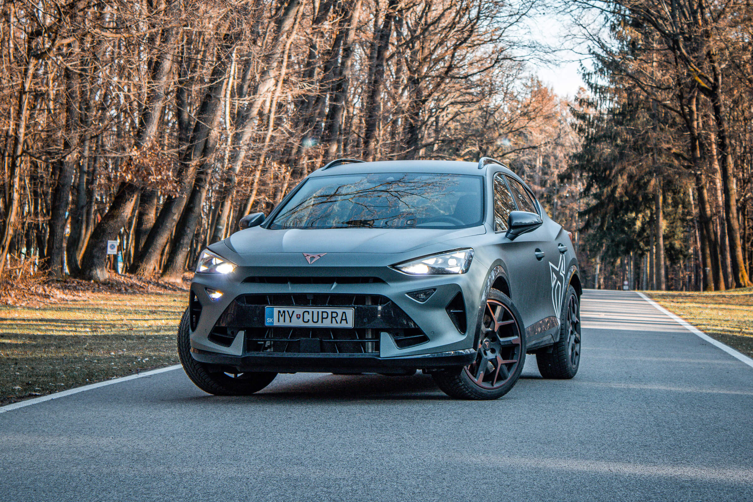 2025 Cupra Formentor VZ 2.0 TSI test recenzia skúsenosti